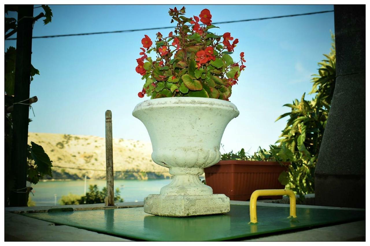 Apartments Boric لوبار المظهر الخارجي الصورة